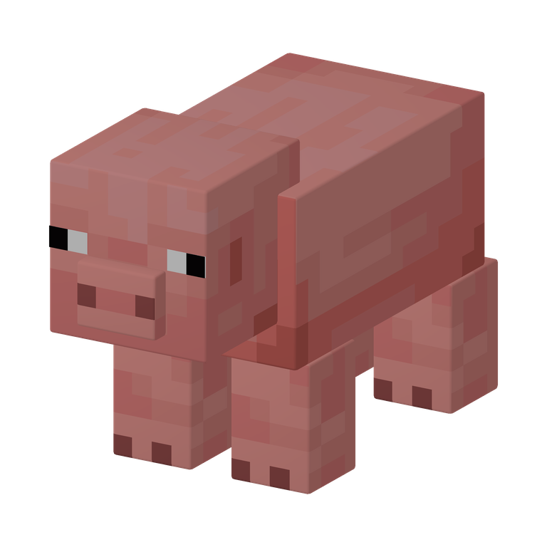 Pig