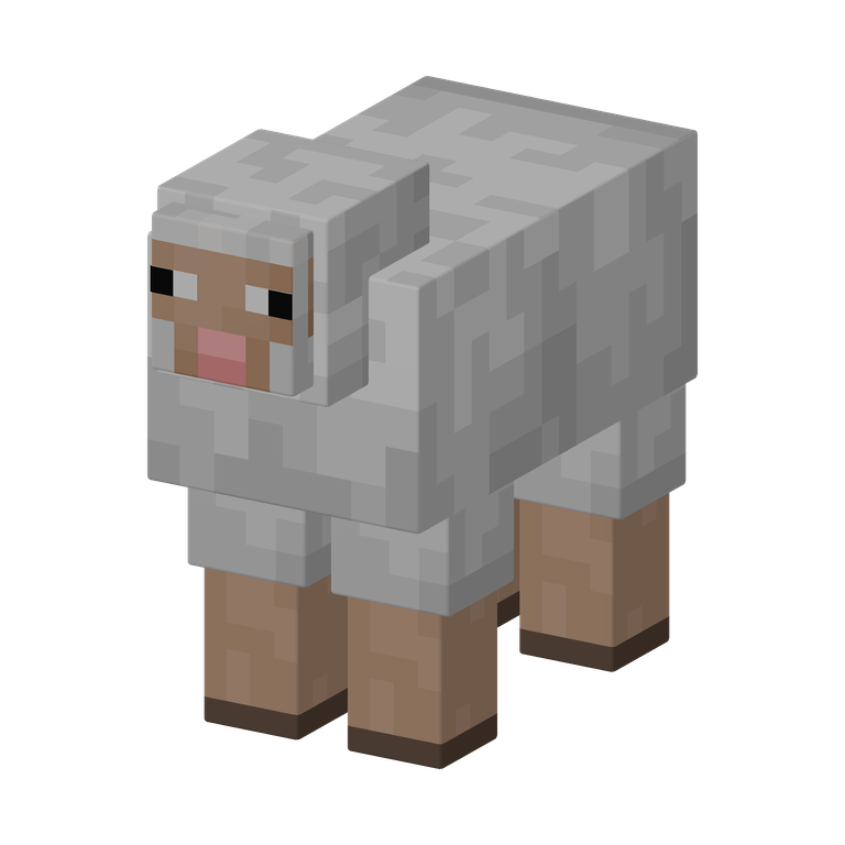 Sheep
