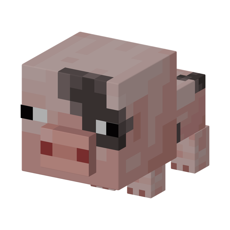 子ブタ